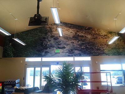 Tacoma, Gig Harbor, Seattle area wallcovering, wallpaper, and mural installation.