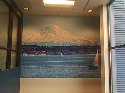 Tacoma, Gig Harbor, Seattle area wallcovering, wallpaper, and mural installation.