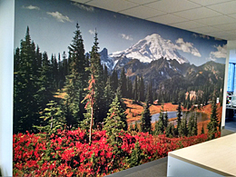 Wallpaper, Installation, Gig Harbor, Tacoma, Bremerton, Seattle