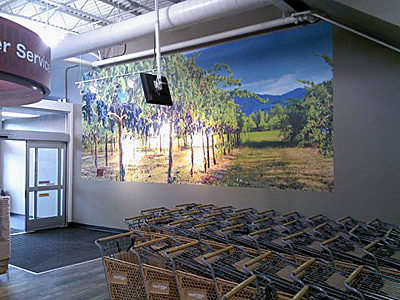 Tacoma, Gig Harbor, Seattle area wallcovering, wallpaper, and mural installation.