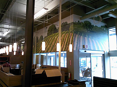 Tacoma, Gig Harbor, Seattle area wallcovering, wallpaper, and mural installation.