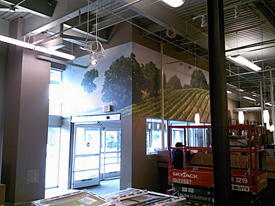 Tacoma, Gig Harbor, Seattle area wallcovering, wallpaper, and mural installation.