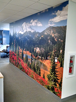 Tacoma, Gig Harbor, Seattle area wallcovering, wallpaper, and mural installation.