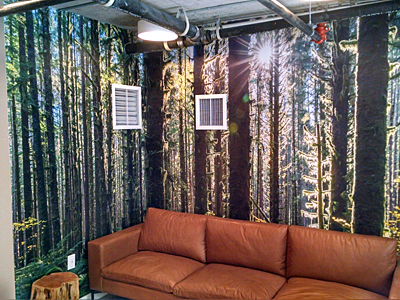 Tacoma, Gig Harbor, Seattle area wallcovering, wallpaper, and mural installation.