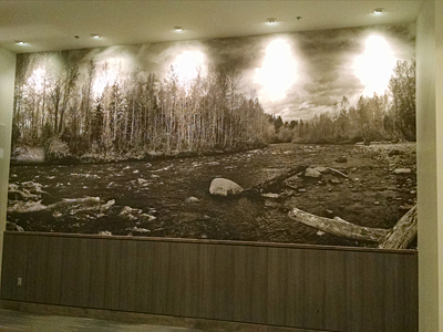 Tacoma, Gig Harbor, Seattle area wallcovering, wallpaper, and mural installation.