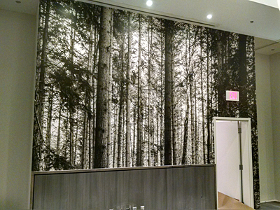 Tacoma, Gig Harbor, Seattle area wallcovering, wallpaper, and mural installation.