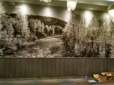 Tacoma, Gig Harbor, Seattle area wallcovering, wallpaper, and mural installation.