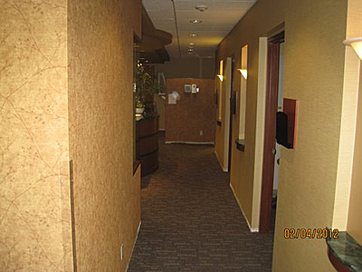 Seattle area wallcovering and mural installation