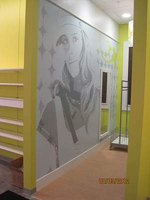 Tacoma, Gig Harbor, Seattle area wallcovering, wallpaper, and mural installation.