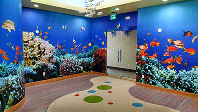 Tacoma, Gig Harbor, Seattle area wallcovering, wallpaper, and mural installation.