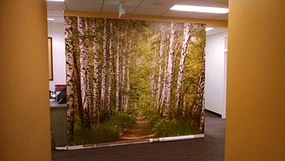 Tacoma, Gig Harbor, Seattle area wallcovering, wallpaper, and mural installation.