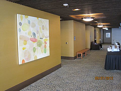 Tacoma, Gig Harbor, Seattle area wallcovering, wallpaper, and mural installation