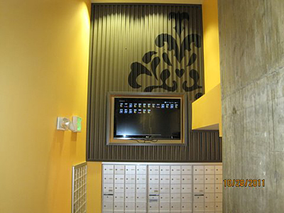 Seattle area wallcovering and mural installation