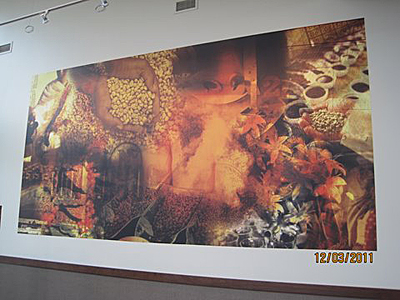 Seattle area wallcovering and mural installation