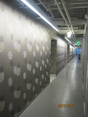 Tacoma, Gig Harbor, Seattle area wallcovering, wallpaper, and mural installation